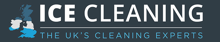 Ice Cleaning logo